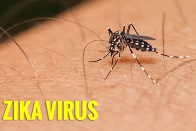 Sự nguy hiểm của virus zika gây ra chứng đầu nhỏ ở trẻ