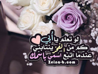 لو تعلم يا أبي كم الفخر الذى ينتابنى عندما أتبع اسمى بأسمك . صور عن الأب