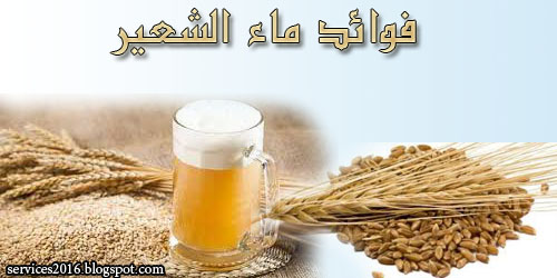 فوائد شراب الشعير أو ماء الشعير