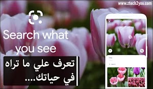 كل شيء عن تطبيق عدسة جوجل،  يجب أن يتواجد علي هاتفك..! || Google Lens - عالم المعلومات