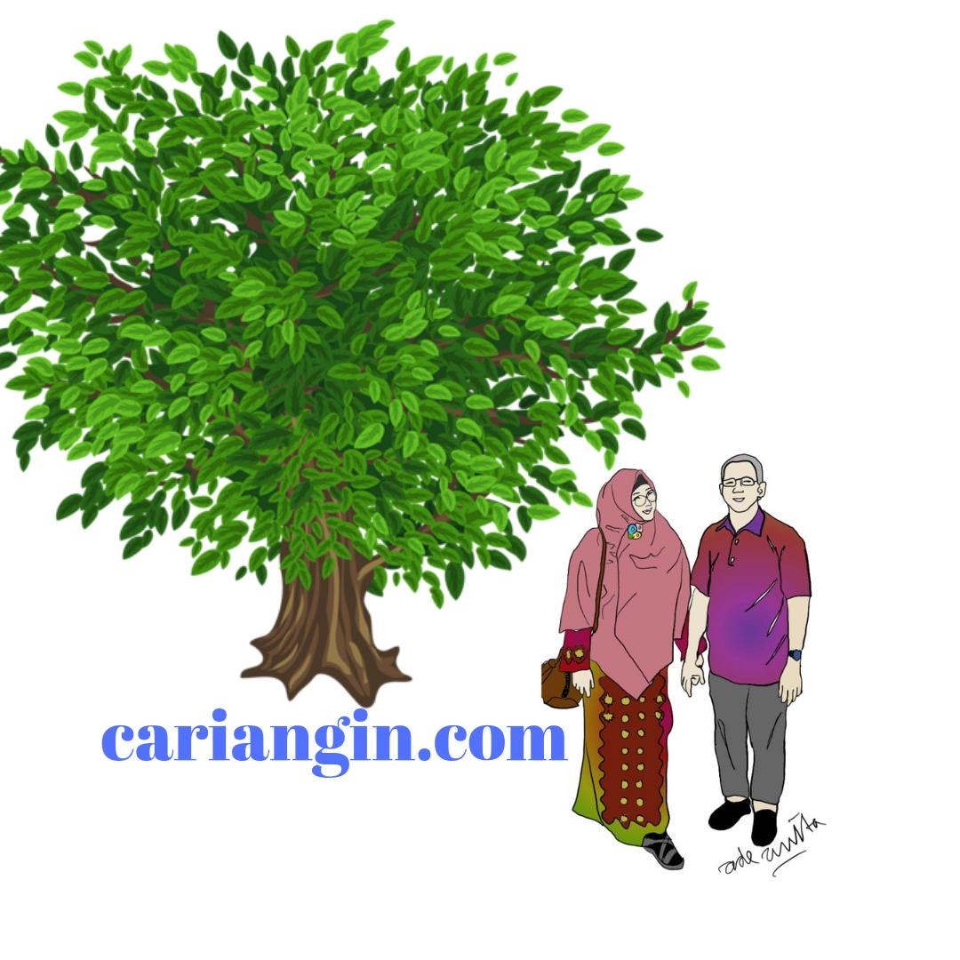 Cariangin.com