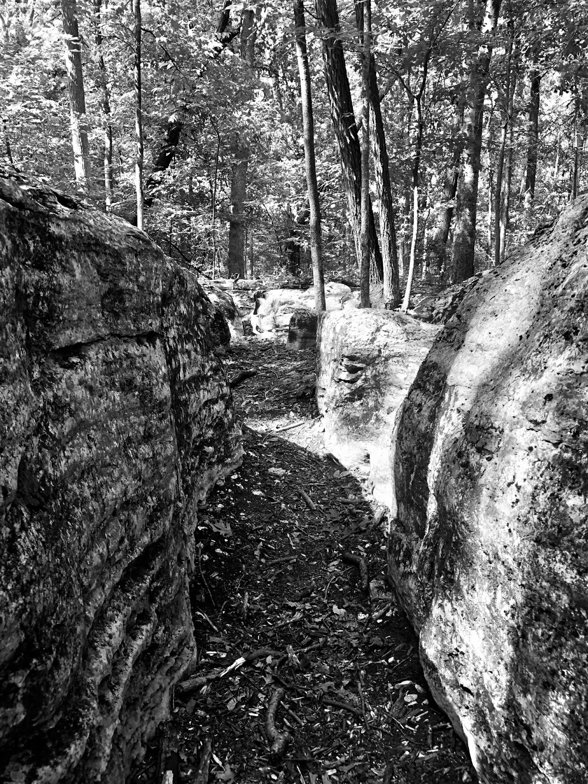 JOHN BANKS' CIVIL WAR BLOG Stones River's Slaughter Pen A study in black and white