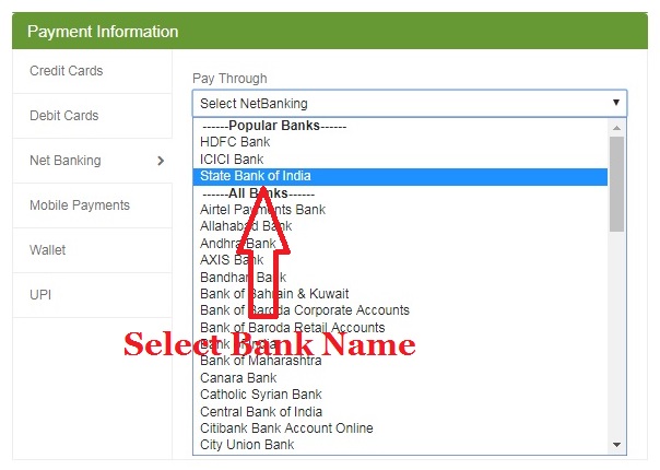 Godaddy Account not Showing Net Banking, Debit Cards, Wallets and UPI Payment options for India