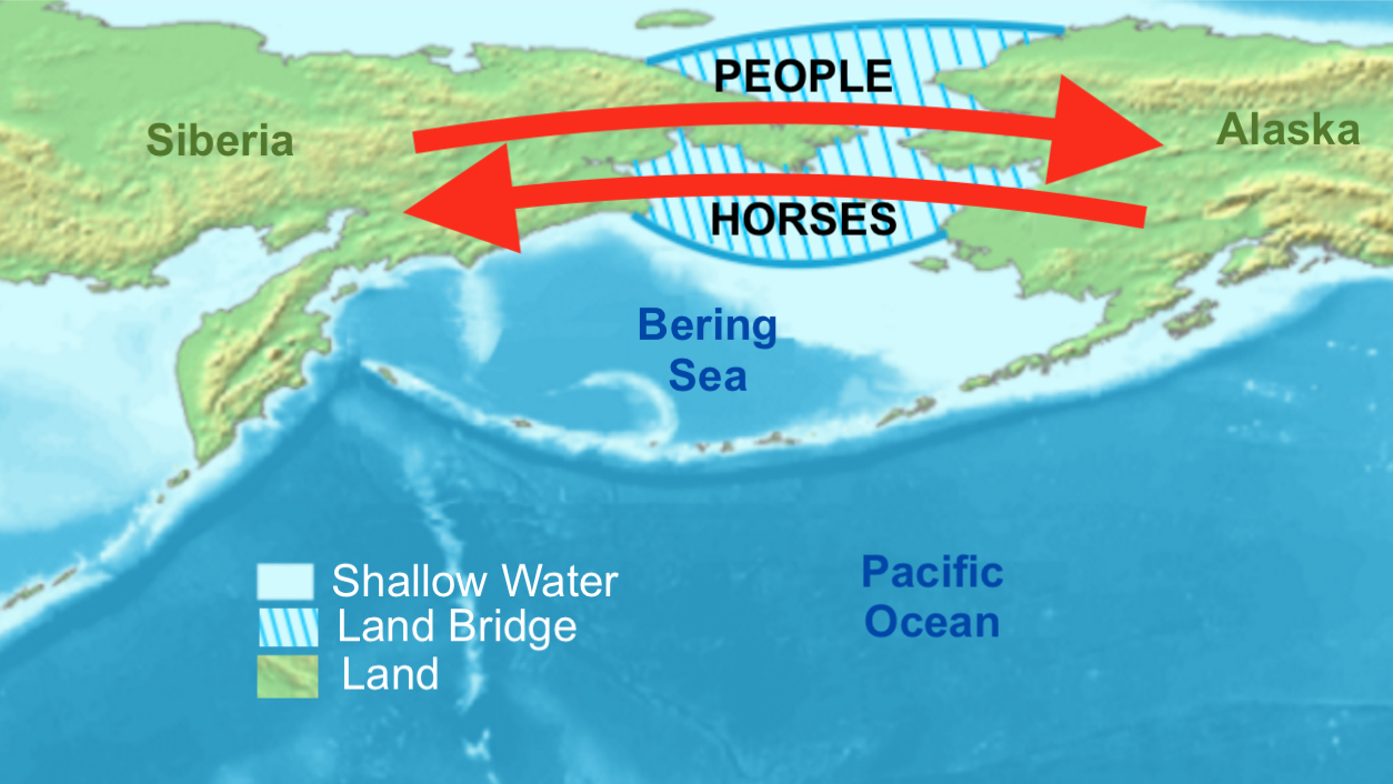 NephiCode The Long History of Horses in America Part III