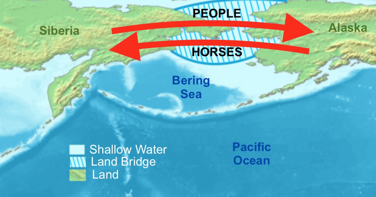 NephiCode The Long History of Horses in America Part III