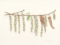 Two Botanical Fine Art Exhibitions - Inward The Uk In Addition To Usa