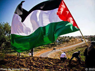 صور عن فلسطين