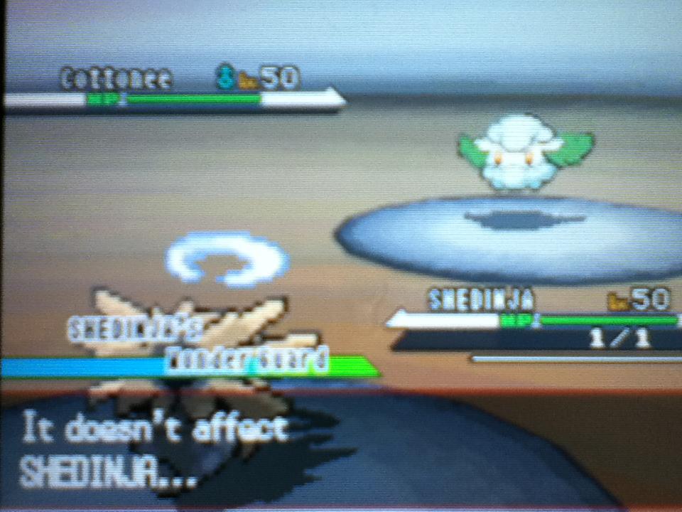 Cory Ingram's guide to Competitive Pokemon Battling Team building