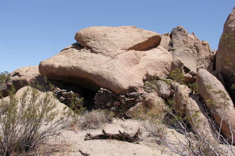 Joshua Tree National Park Artist In Residence Day 24