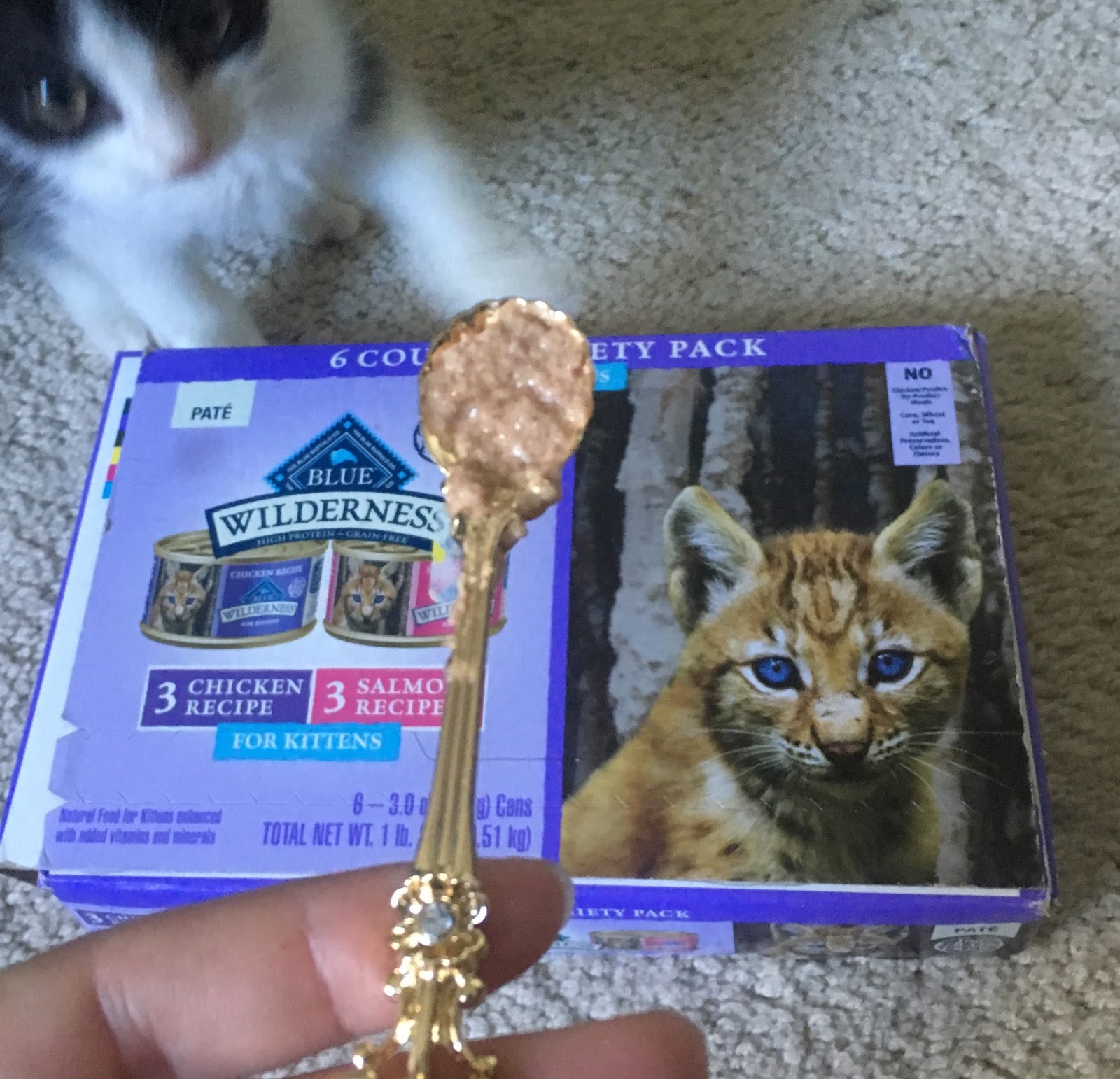 Nesca's Nook: Blue Buffalo Wilderness Kitten Food served from a Golden