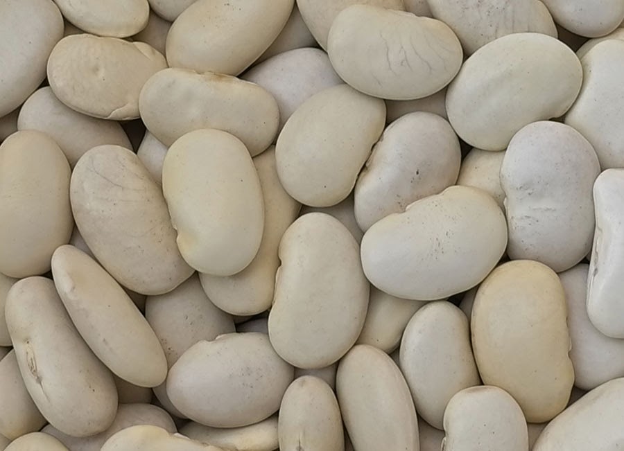 edible culture Bunya and Lima Bean Soup