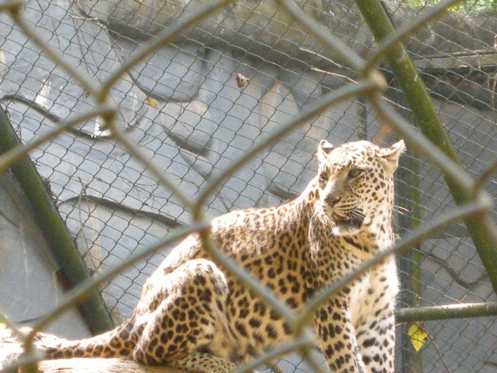 Redwine Malayalam Thiruvananthapuram zoo kerala tourism
