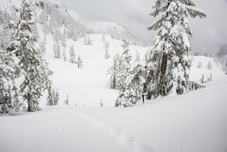 pristine snow slopes of Mount Russel on Vancouver Island