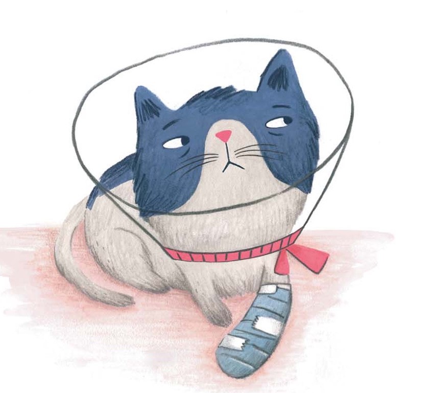 STORYWRAPS "Cone Cat" a bookwrap