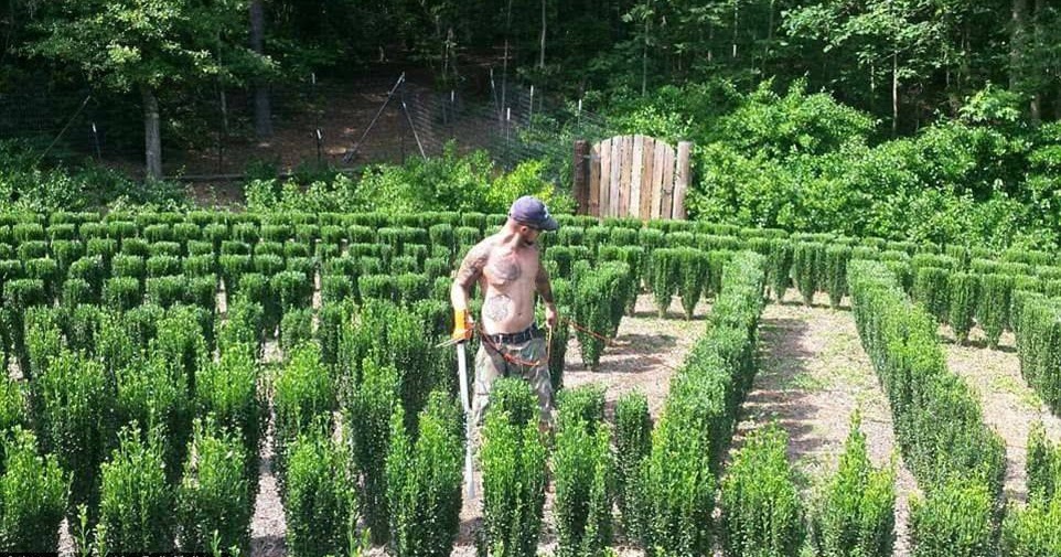 Brilliant Disguises The Reading List Of John B Mclemore