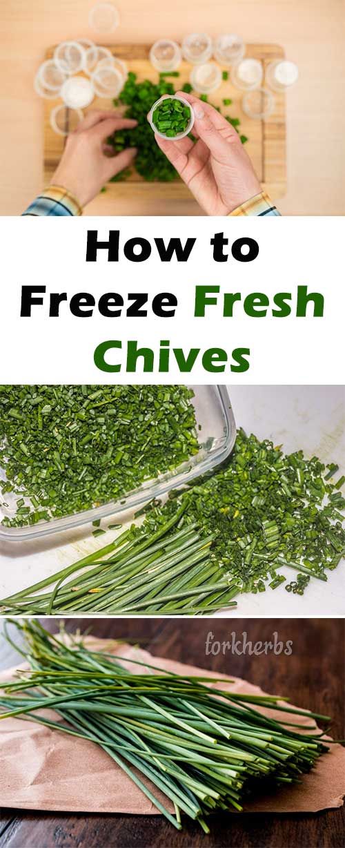 How to Freeze Fresh Chives
