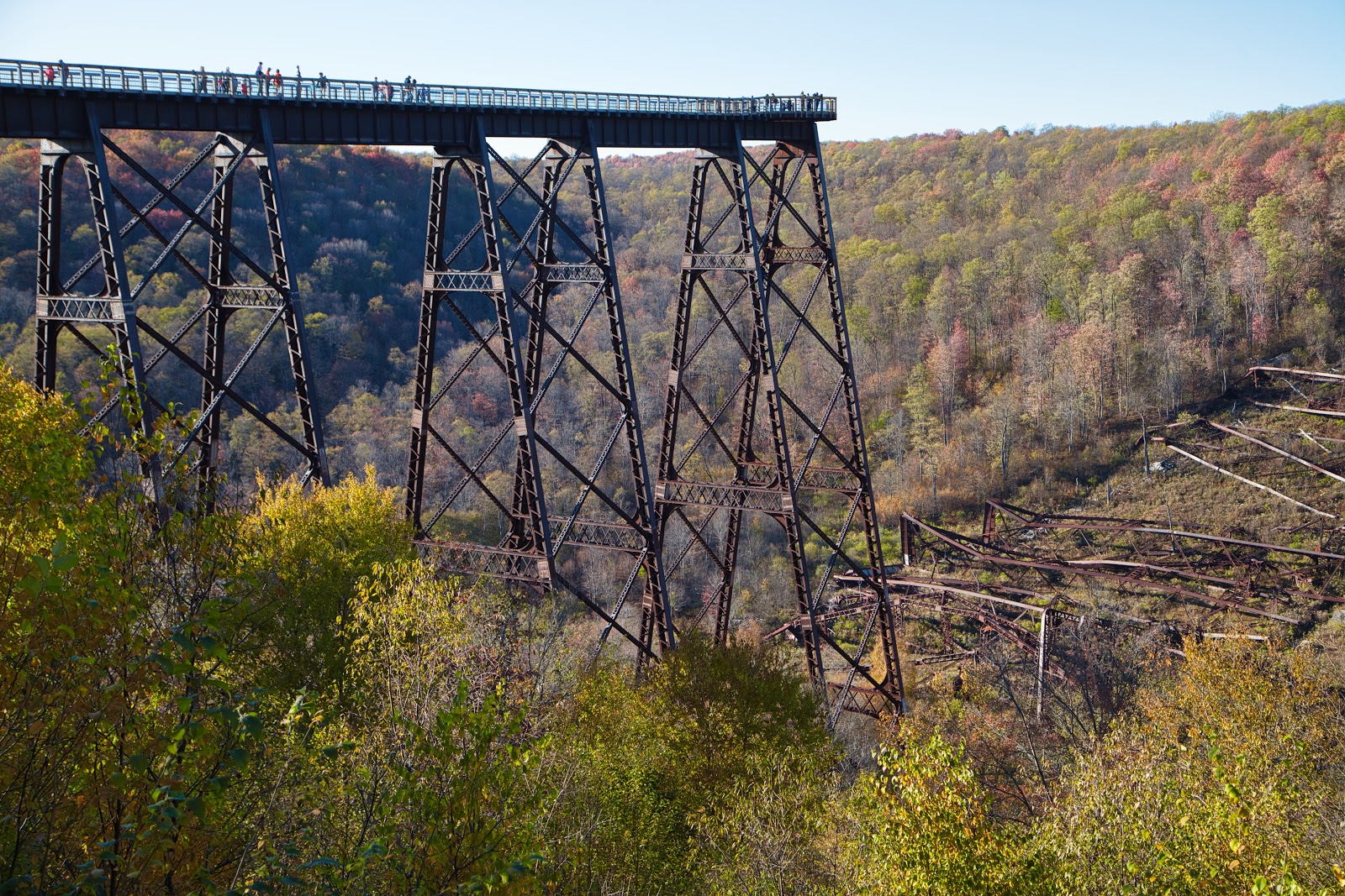 Are Dogs Allowed At Kinzua Bridge
