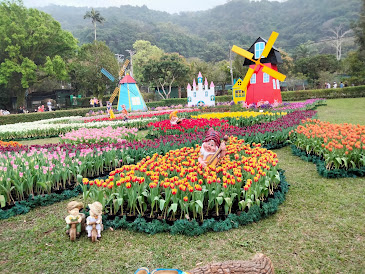 中壢社大週四趴趴走.2021首站士林官邸-鬱金香展(荷你相遇)