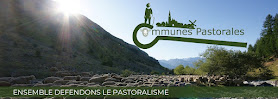 Communes pastorales