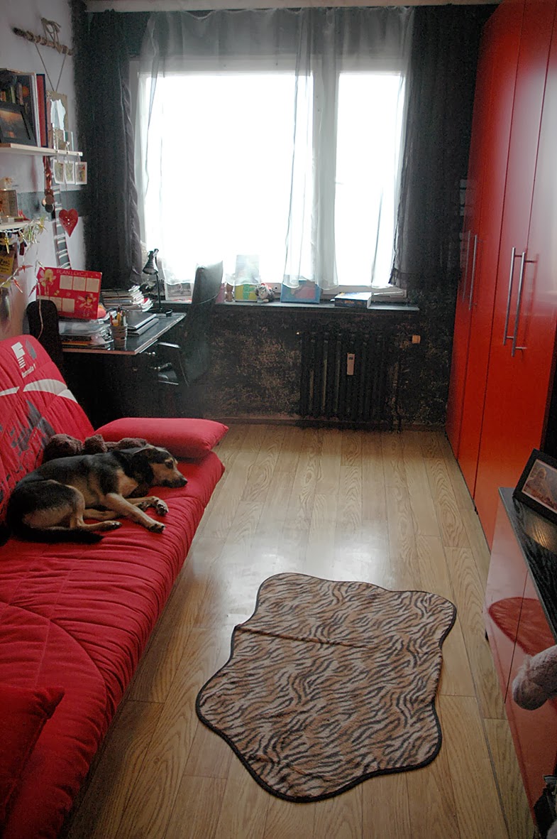 Zrób To Sama: Remont - dzień pierwszy cz.1