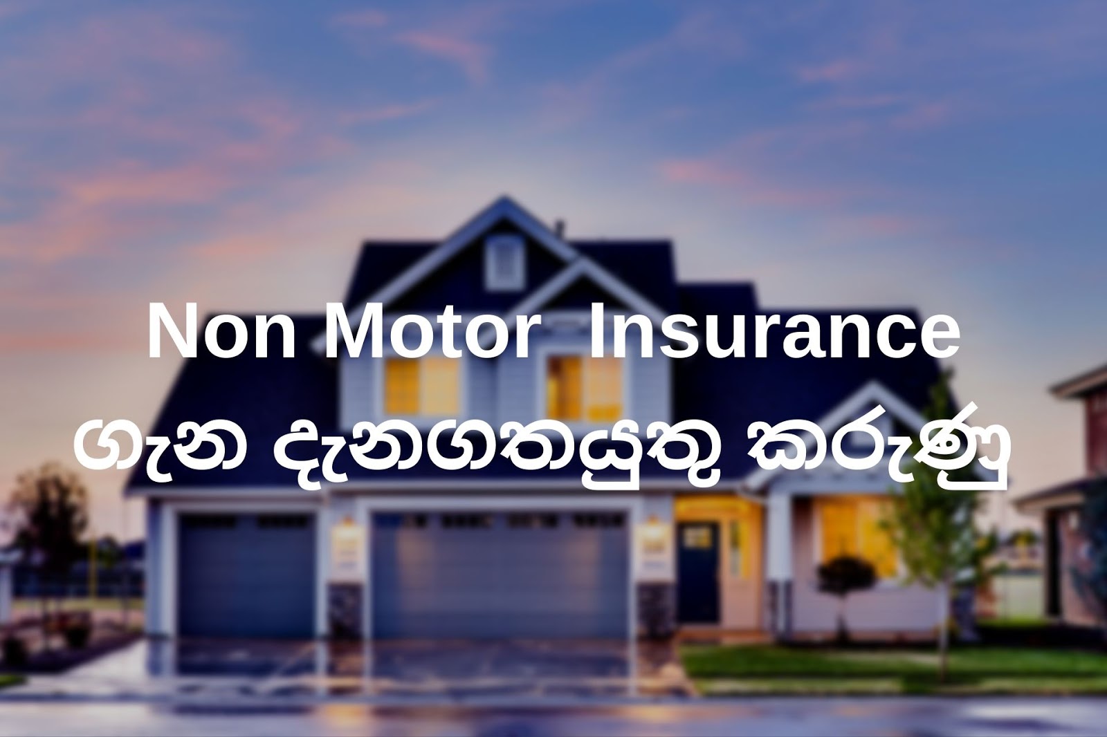Non Motor Insurance ගැන දැනගතයුතු කරුණු Insurance Color