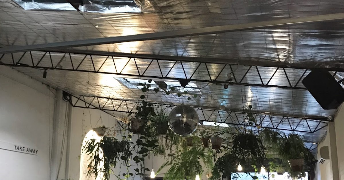 Poor Toms Gin Hall Trendy Marrickville Gin Bar to Visit This Weekend