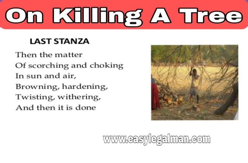 On Killing a Tree by Gieve Patel Poem Explanation, Summary, Question