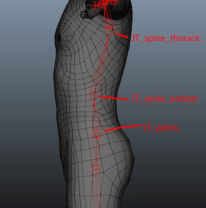 3D Character Rigging: Joint placement reference