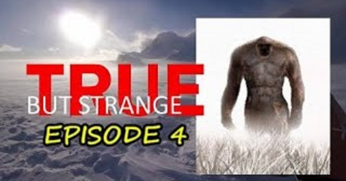 The Fortean Slip Top 10 Strangest Unsolved Mysteries vrogue.co