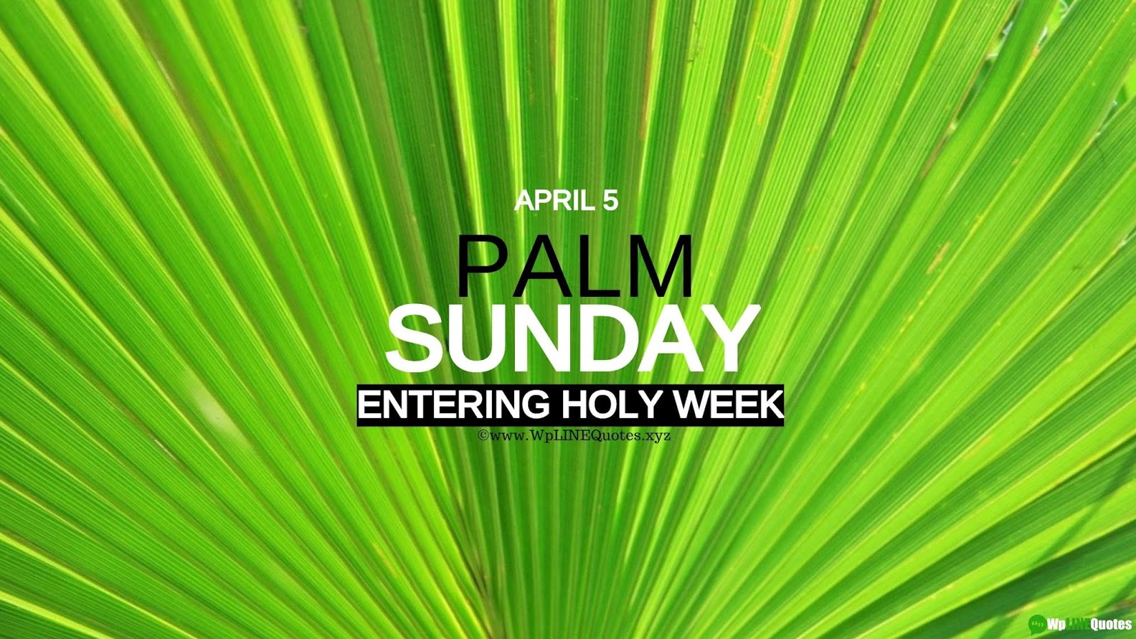 Palm Sunday Quotes, Wishes, Message, Greetings, Meaning, History, Facts, Images, Wallpaper Palm Sunday Quotes, Wishes, Message, Greetings, Meaning, History, Facts, Images, Wallpaper