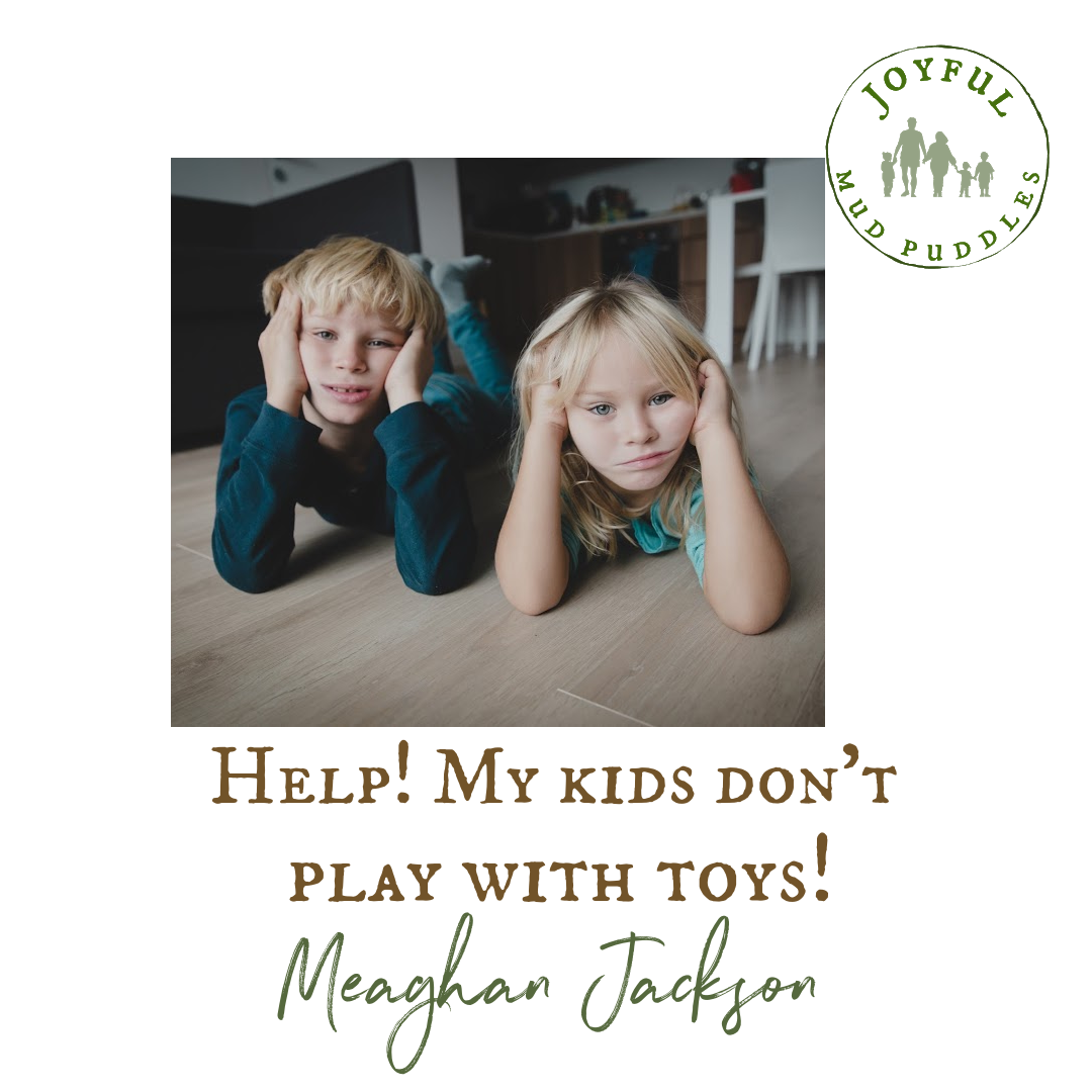 Help! My kids don't play with toys