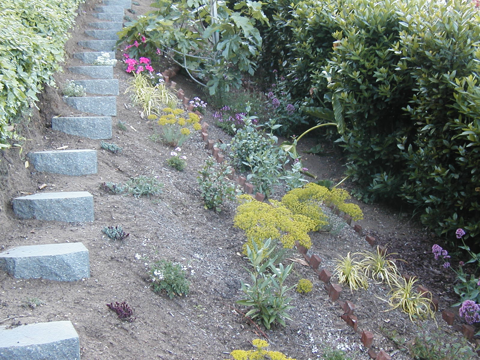 Late to the Garden Party The Slope is a Work in Progress