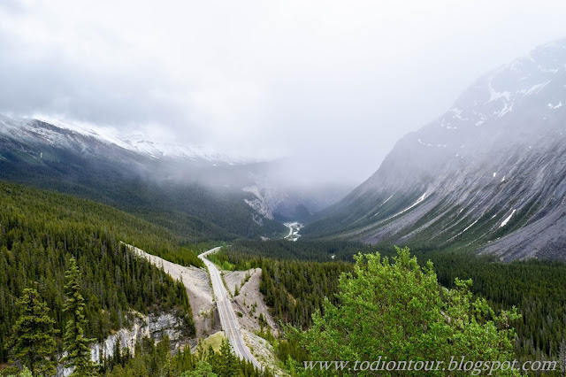 Viewpoint Icefields Parkway
