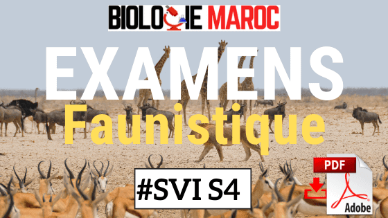 Examens de Faunistique SVI S4 Semestre 4 PDF à Télécharger Examens de Faunistique SVI S4 Semestre 4 PDF à Télécharger