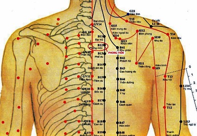 Vị trí huyệt phong môn