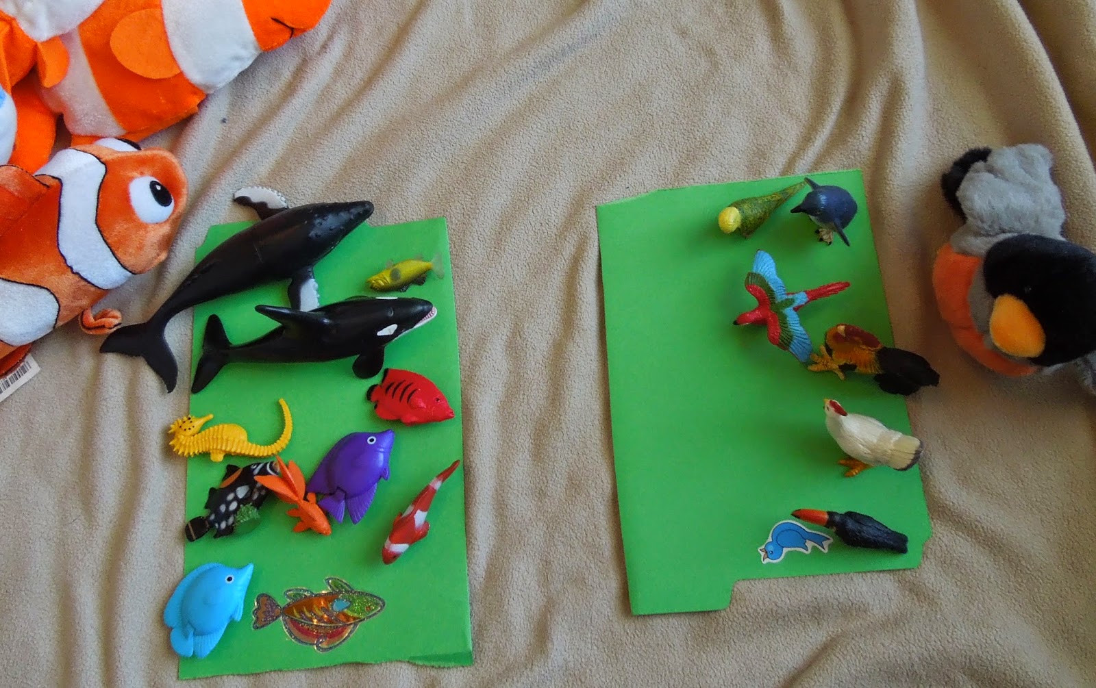 The Elliott Edition: Homeschool Weeks 5 and 6