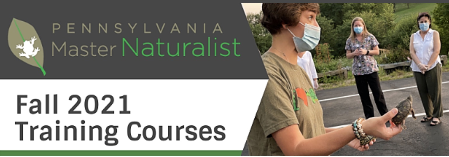 PA Environment Digest Blog Sign Up Now For PA Master Naturalist Training This Fall In 7 Counties