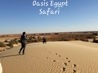Bahariya Oasis - Oasis Egypt Safari 