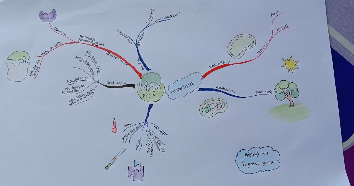 Tugas Mind Mapping Materi Enzim dan Metabolime Kelas XII