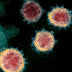 Nova doença pode gerar pandemia mais letal que Covid-19, alerta especialista