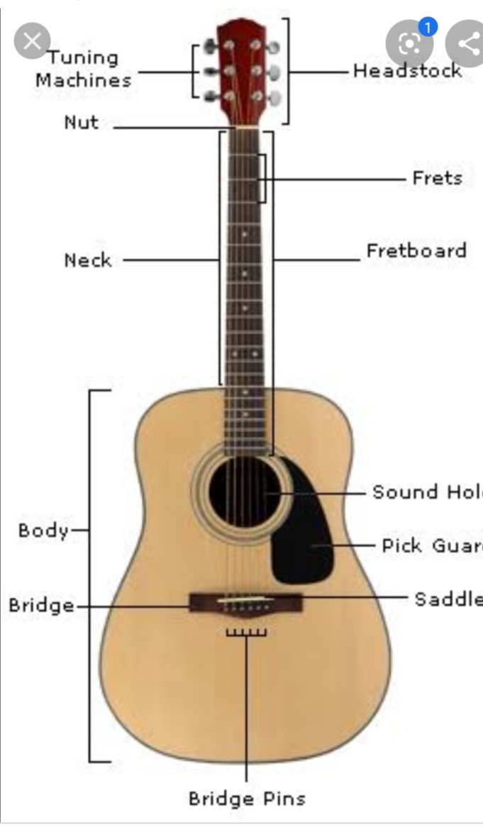 Guitar Basic Knowledge