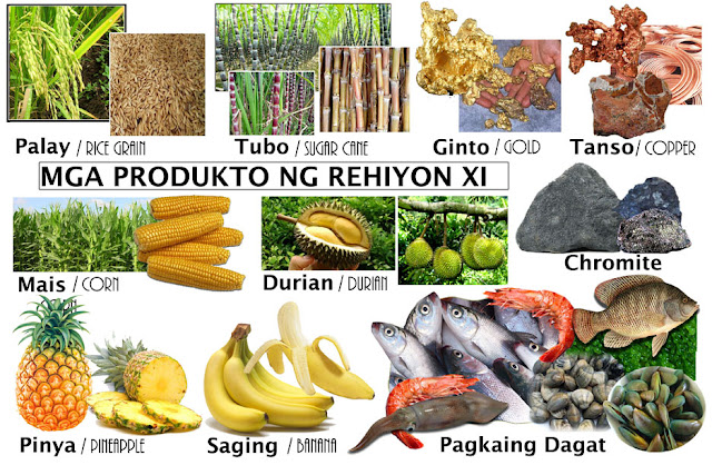 Mga Produkto Ng Rehiyon: Rehiyon XI