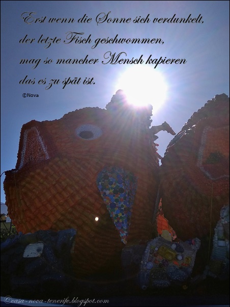 Alles Rund Um Teneriffa Und Casa Nova Zitat Im Bild 278