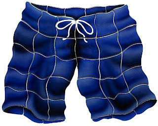 swim trunks