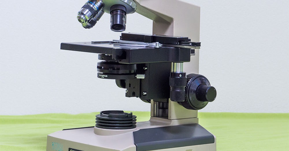 顕微鏡撮影機材：顕微鏡本体の解説とおすすめ機種