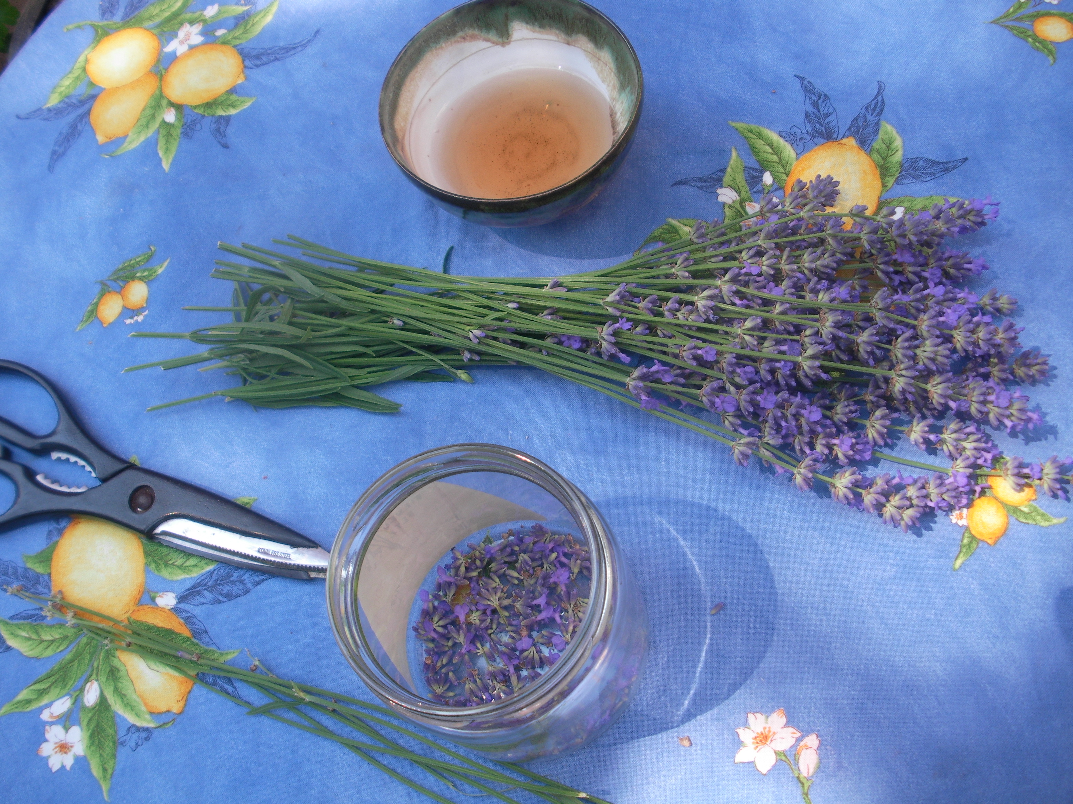 Pias Kräuterkiste: Lavendelrezepte