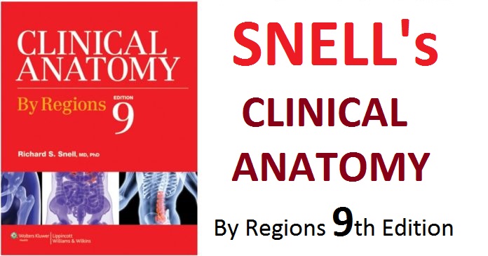 SNELL'S CLINICAL ANATOMY By Regions PDF Free Download