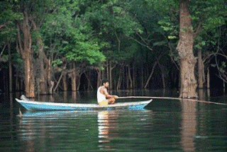 Hutan Lindung Sungai Sesayap