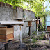 Suape lança projeto para produção de mel e  derivados em comunidades do complexo