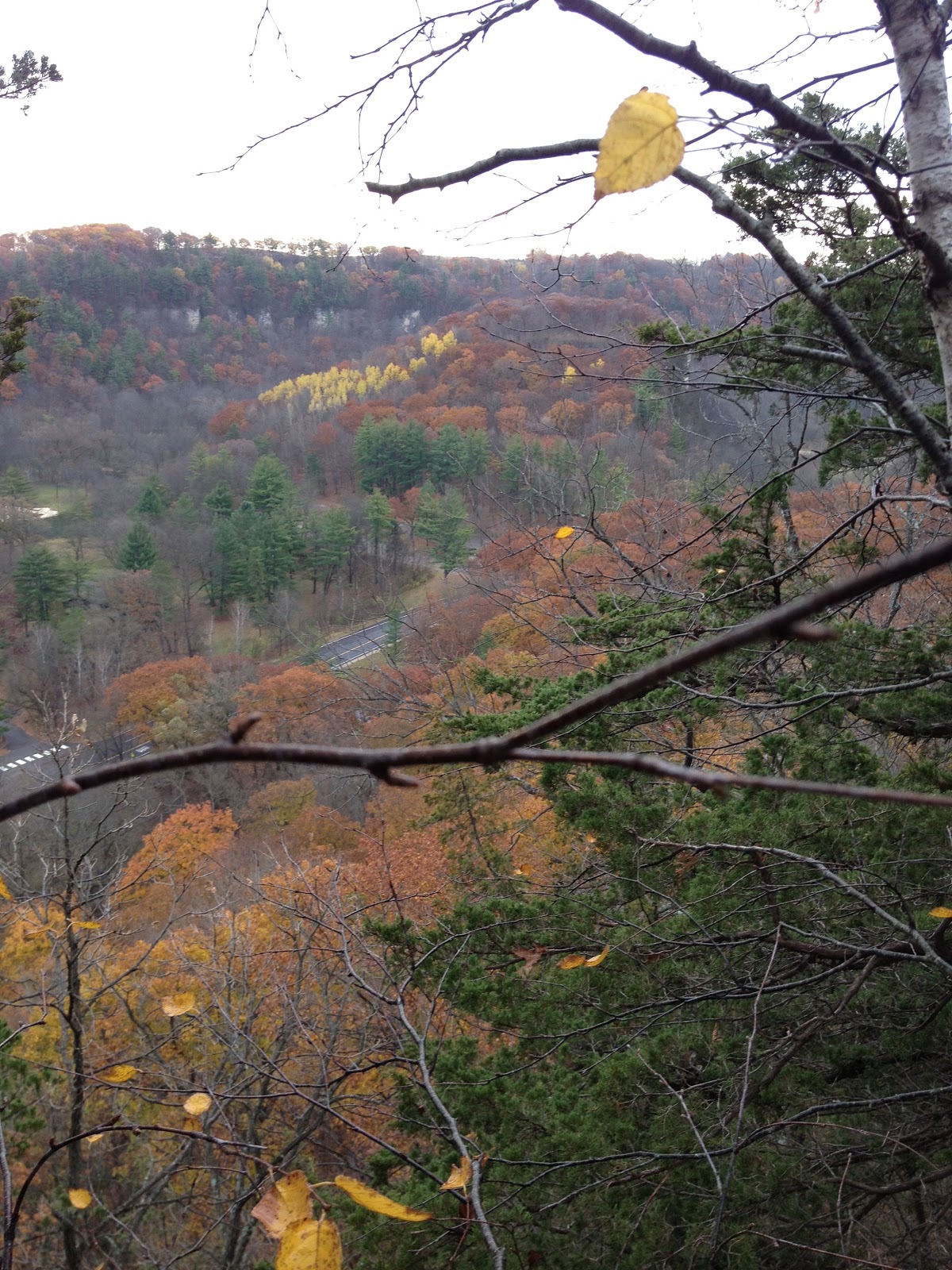 Travels with Rocky the Dog Whitewater State Park and the Root River Valley
